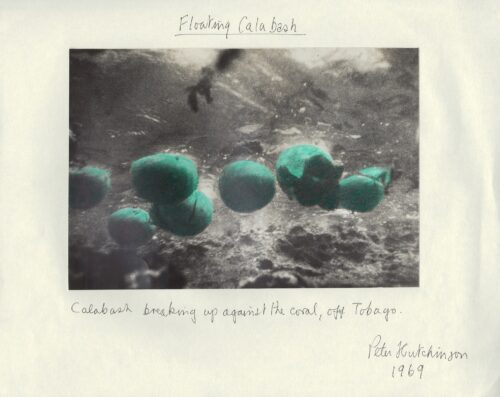 Floating Calabash, 1969