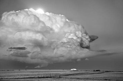 Oort Cloud