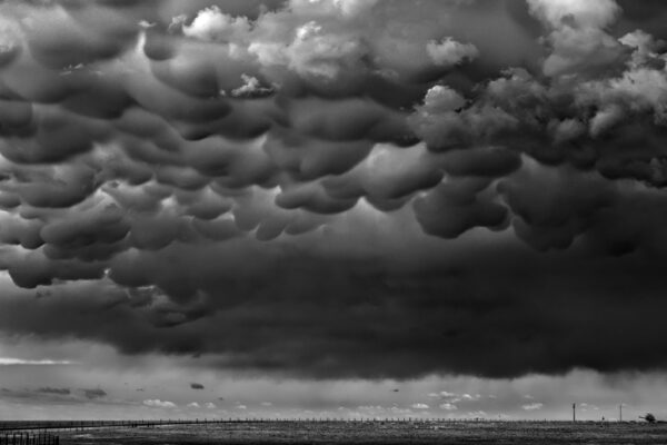 Mammatus, 2011