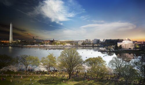 Cherry Blossoms, National Mall & Memorial Parks, Washington