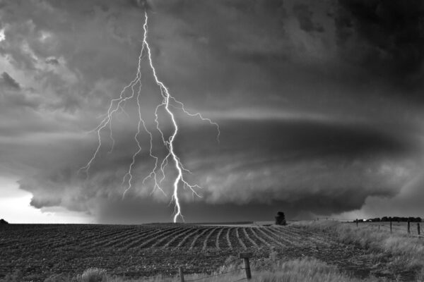 Supercell over Field