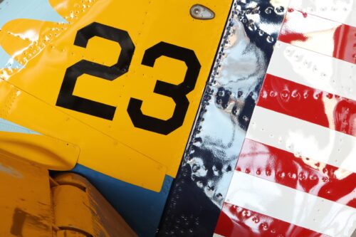 Stearman Tail