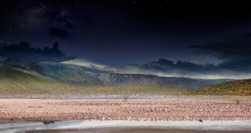 Lake Bogoria, Kenya