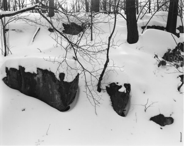 Snow-covered Hillside, 2005