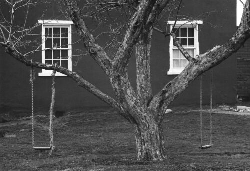 Tree, Swings and Windows, 1966