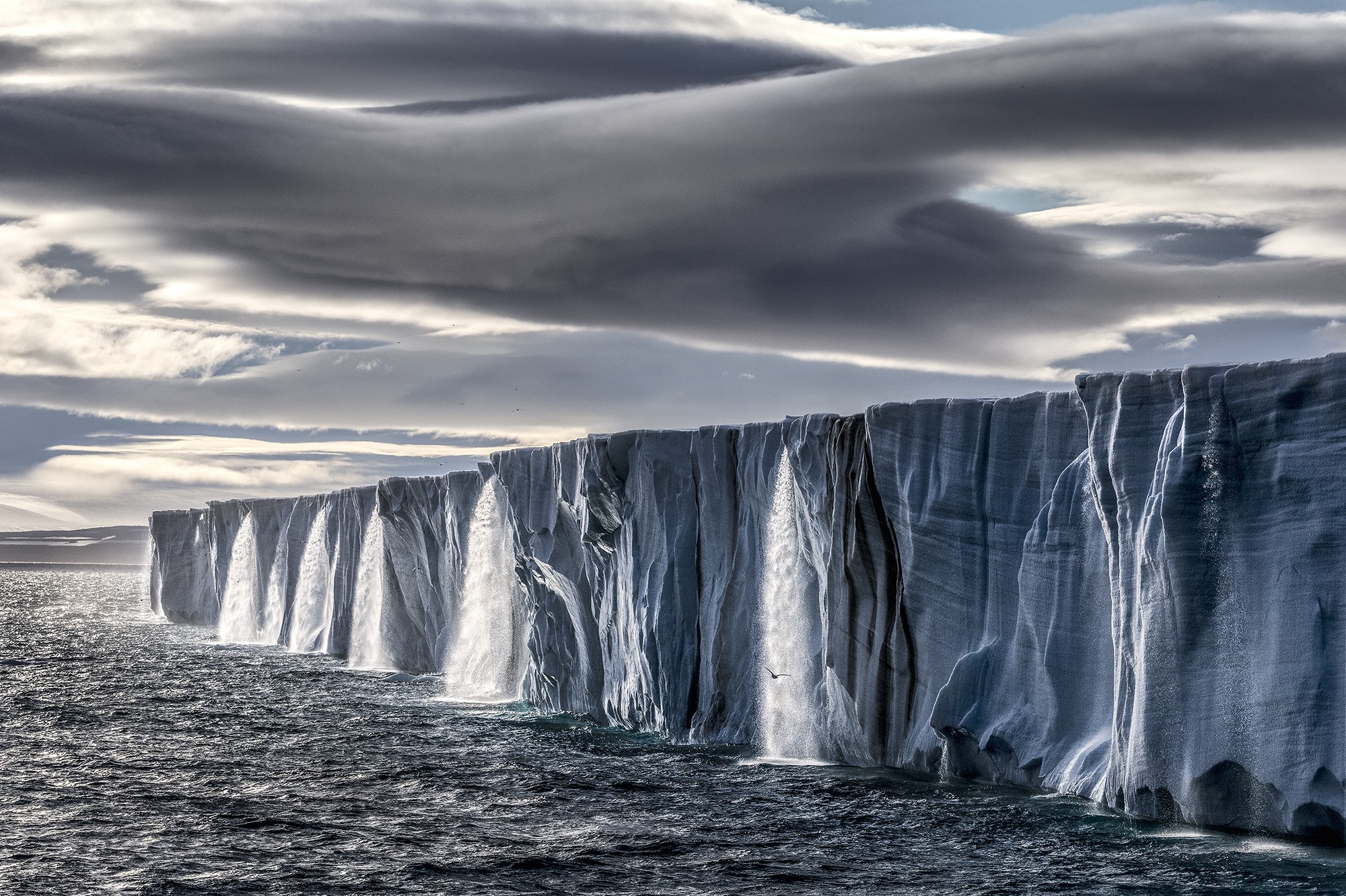 Paul NICKLEN