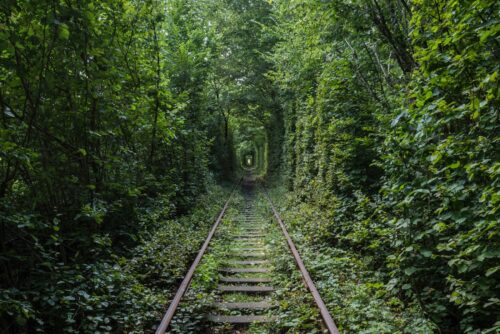 The tunnel of Love