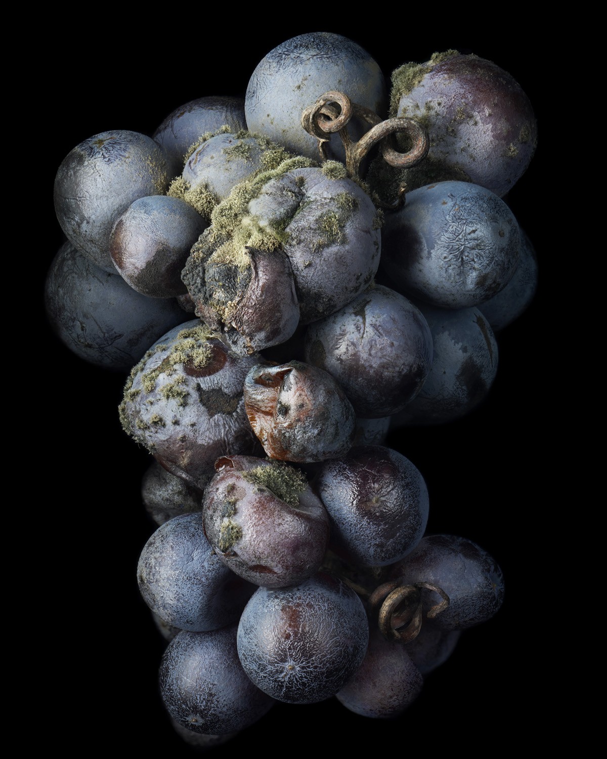 Peter LIPPMANN